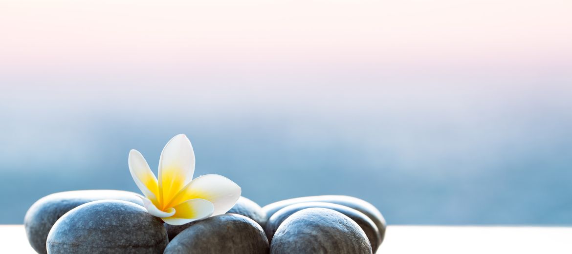Anxiety Treatments